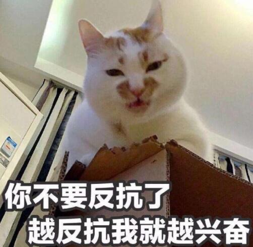 搞笑段子姑姑你傻啊,叉叉不都在这难道你看不到吗