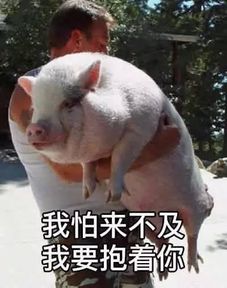 学啥建筑设计,不如回家种地