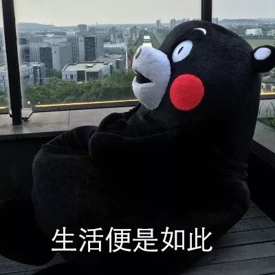 表情包丨我知道你很累,我也是