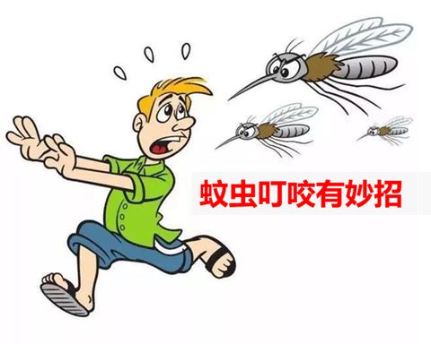 什么样的人容易被蚊子叮