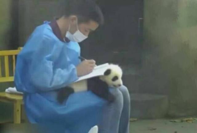 午间版男性中年危机三大特征,盘串儿出轨保温杯