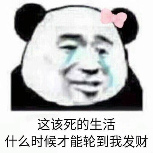 来表情包尬聊啊