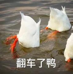 周黑鸭成也直营败也直营,昔日鸭王没落