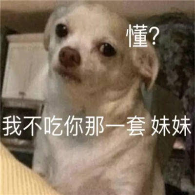 男生撩妹专用的沙雕表情包