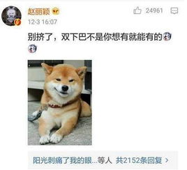 张翰炫耀自己变胖,赵丽颖一句话就让他尴尬了
