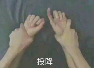 精选热门无水印表情包54张缺少贵族的掌掴