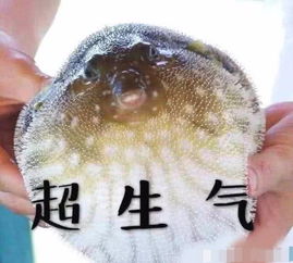 生活中的冷知识你都知道吗可乐是一种药汁你听说过吗