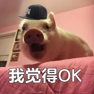 对不起,老师我们到此为止吧