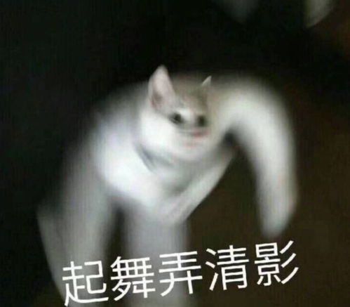 无意中打开闺蜜手机里的私密照,看完我要炸了