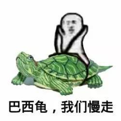 表情包皮皮虾我们走表情包,聊天必备