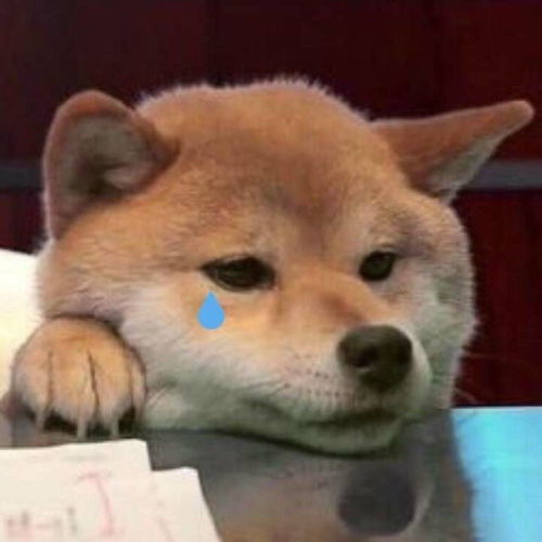 抱大腿图片表情包doge