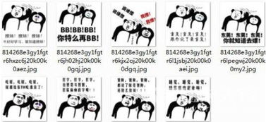 做表情包的软件推荐年初三