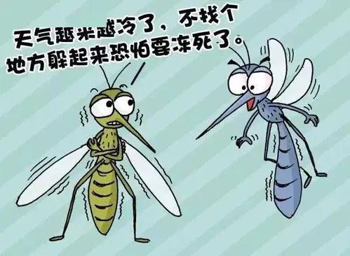 哪里逃全城大行动来了,赣州人一起让它们out