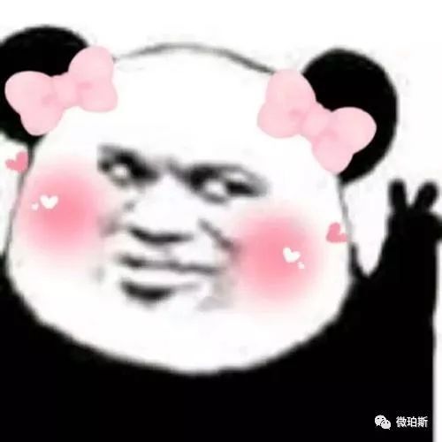 珀斯动物园大逃亡居然还有吸血蝙蝠你会不会遇见这些四处逃窜的通缉犯