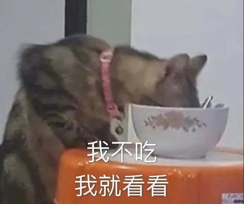 沙雕表情包l朋友网恋吗