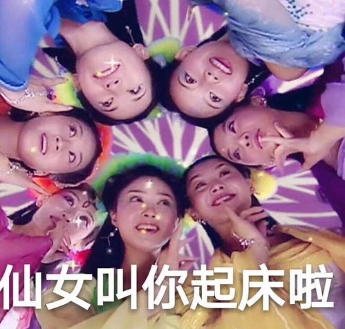 沙雕表情包但是我就喜欢这种带刺的玫瑰