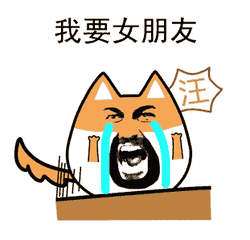 聊天表情包动态图单身汪