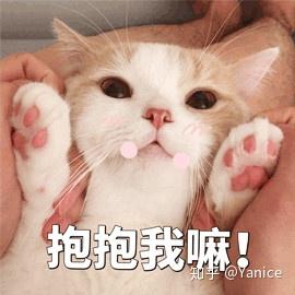 你有哪些压箱底的表情包