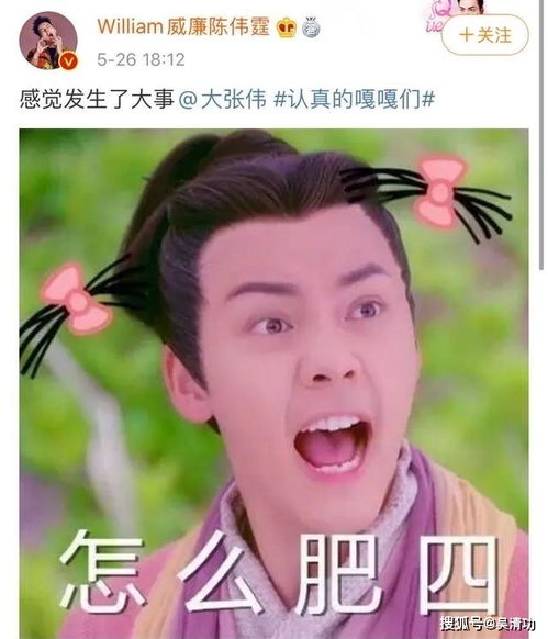 先后因为肖战欧阳娜娜被骂的何炅,要和陈伟霆大张伟合作了
