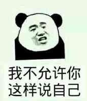 哈哈哈哈海鸥大笑动图表情包动图哈哈哈哈海鸥大笑表情
