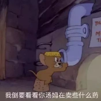 杰瑞才是我鼠年最想成为的人生赢家