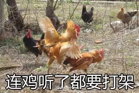 辣手儿媳离婚要分割房产,竟被婆婆挂上黑名单...