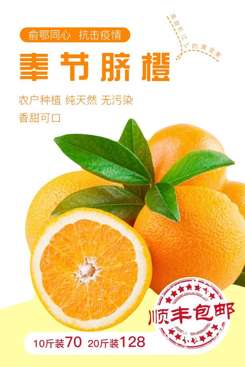 奉节脐橙海报
