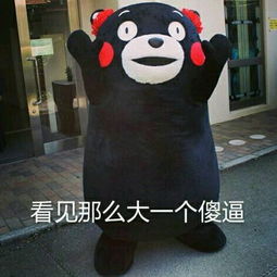 阁下何不同风起,扶摇直上九万里