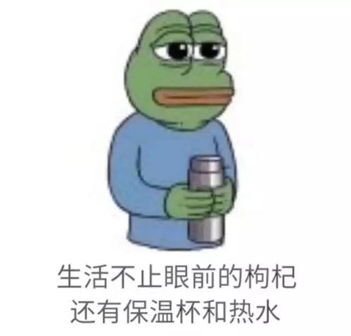 圣诞老人送礼物表情包萌王