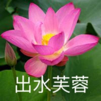 love直播449t下载