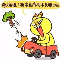 驾考科目一不知该怎么记教练助您高效答题