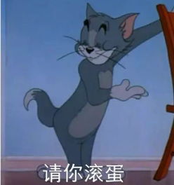 斗图日常猫和老鼠斗图表情包
