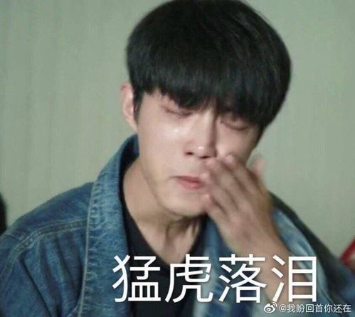有没有又萌又骚,贱萌贱萌又治愈的表情包