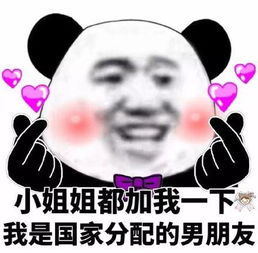 加小姐姐微信的表情包合集小姐姐们加我一下,我是我们村最帅的