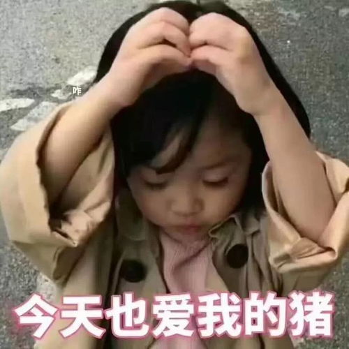 富通尼特报价厂家
