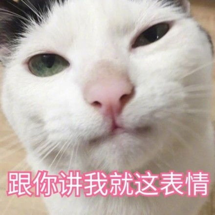 对这种小喵的毫无抵抗力