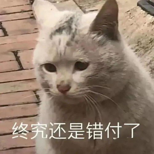 爸妈对表情包的误解也太大了吧哈哈哈哈笑到窒息