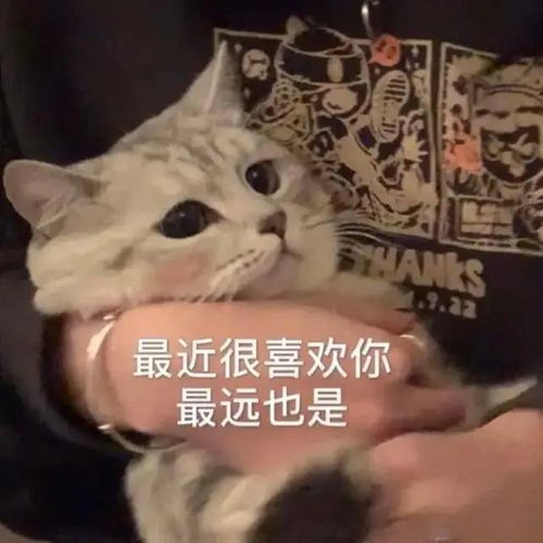 可爱小表情适合发给喜欢的人