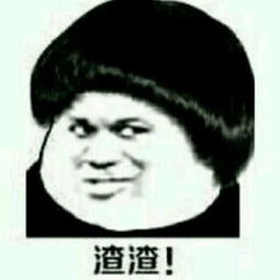 你是什么鸟是你蝶什么表情