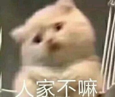在上海做近视手术,高度近视女孩分享干货