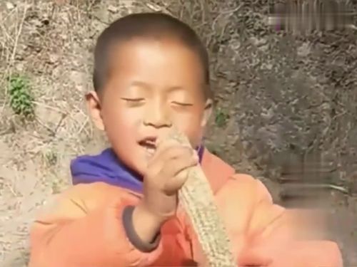 你的表情我感觉已经发挥到极致了,嘴巴嘟嘟,你太有才了