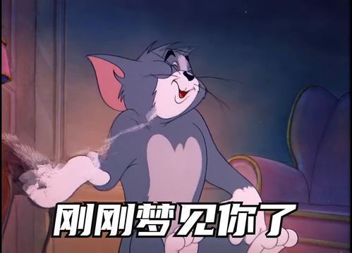 刚刚梦见你了表情包艾特你想艾特的人情侣日常猫和老鼠