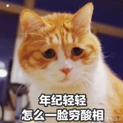 openwrt开发应用程序ipk包开发