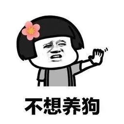 抖音我养你啊毕竟养猪致富表情包大全