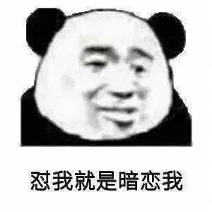 近期热门表情包精选