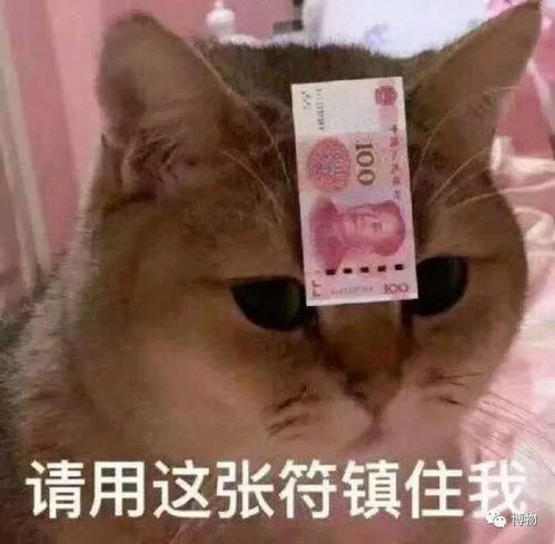 古代拿贝壳当钱使,渔民岂不是发了