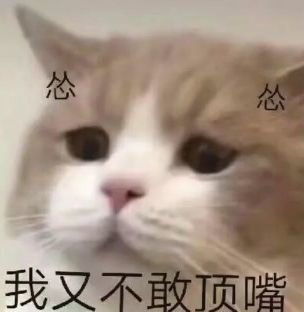 独一无二保证你没见过的坐骑