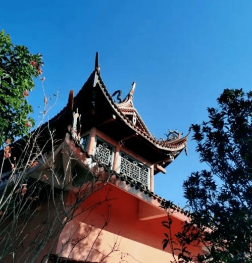 厦门拆迁得了800万,一家三十几人庆祝拆迁妈妈提出一人100万,没想到大伯还嫌给多了鱼友太温馨