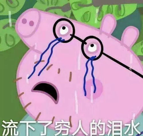 2019,祝你活成这只猪一样