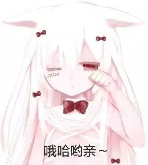 超萌超可爱的二次元表情包来喽